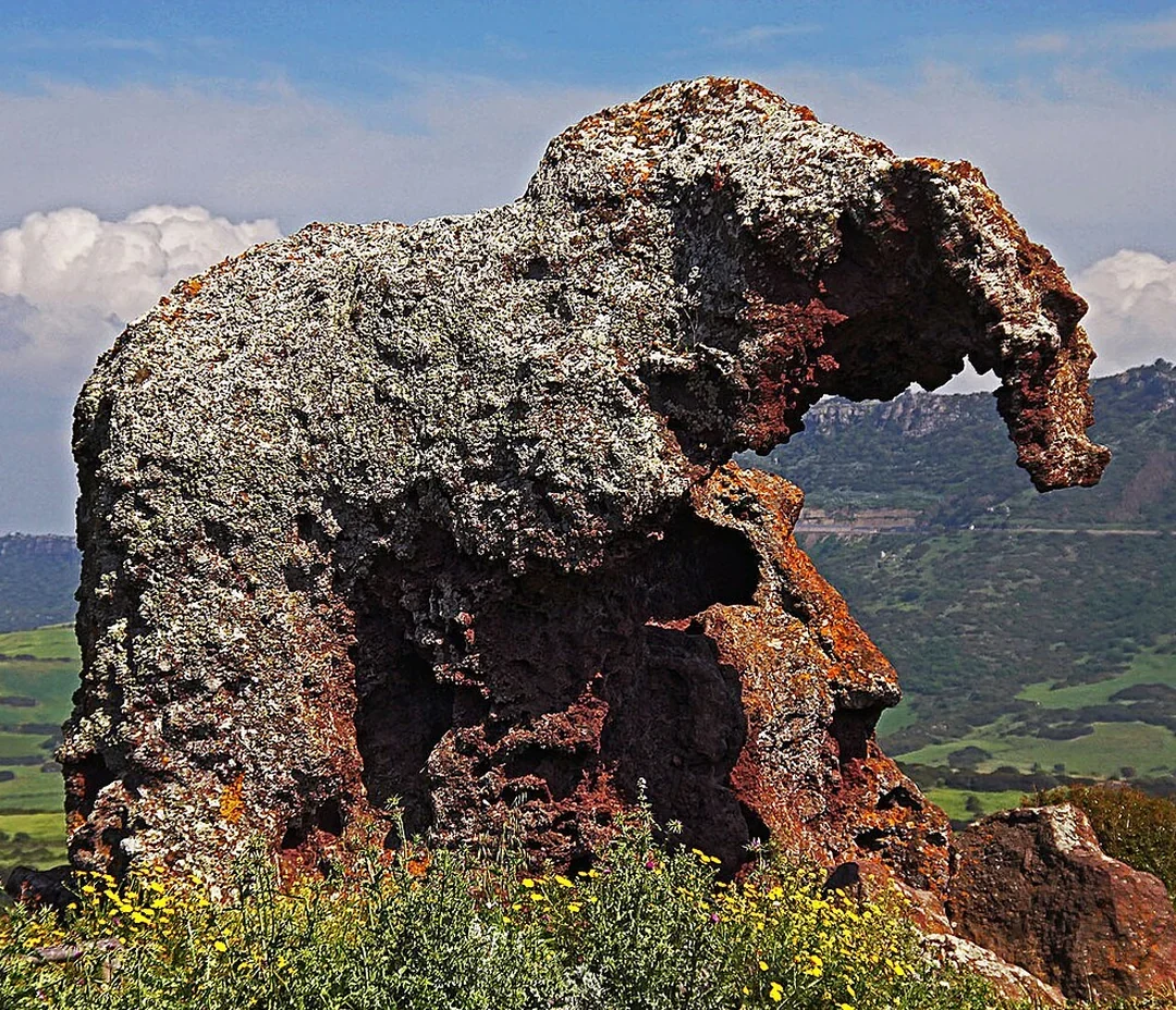 La Roccia dell'Elefante, il masso di trachite modellato dal vento a forma di elefante, a pochi minuti d'auto da Castelsardo